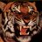 MadTiger